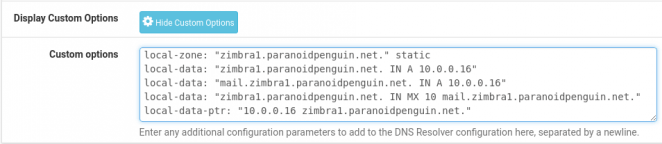 pfSense DNS Resolver