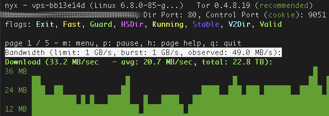 Nyx view of a Tor exit relay